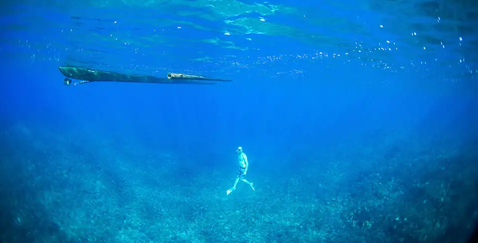 Scuba diving in Siargao Island — biodiverse reefs with turtles, rays and coral near Cloud 9